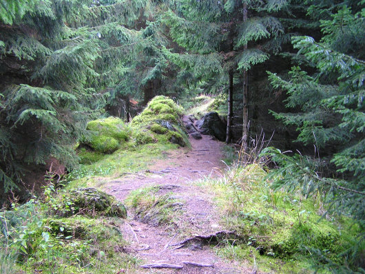 Gemütlich geht es manchmal durch den Wald.